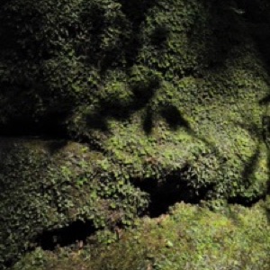 Bali sud, côte ouest : Kuta, Jimbaran et Uluwatu. Un juste milieu entre spiritualité des locaux et surtourisme 🫠.#bali #Indonesia